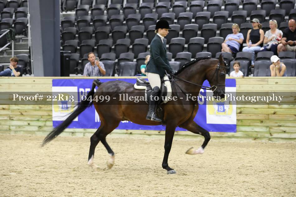 Proof 22R13_04499