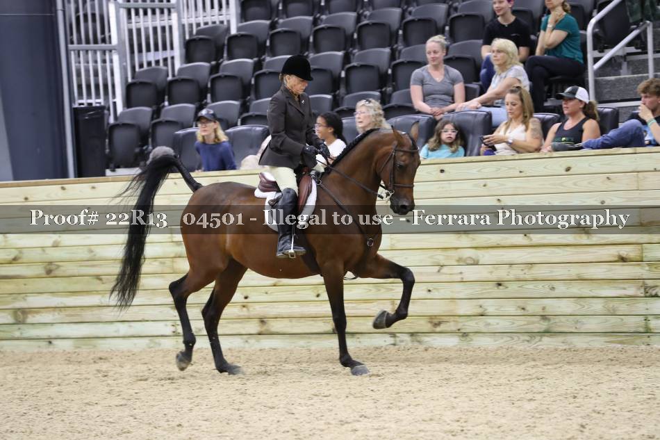 Proof 22R13_04501