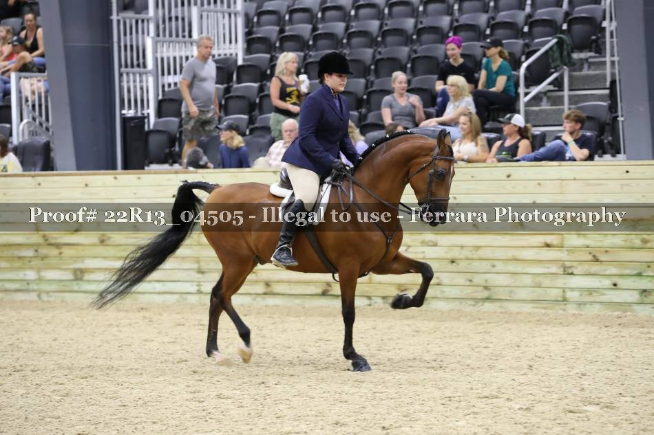Proof 22R13_04505
