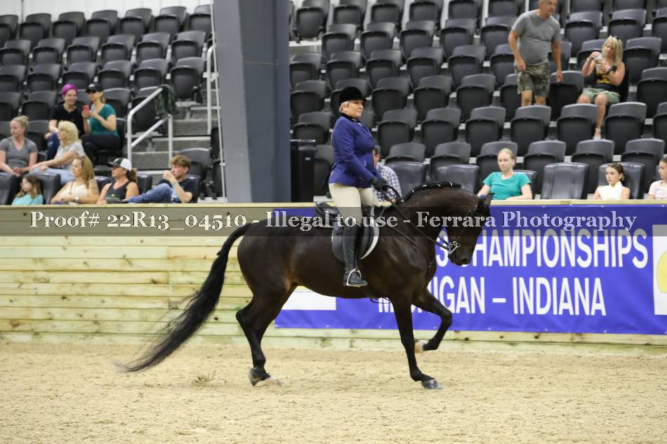 Proof 22R13_04510