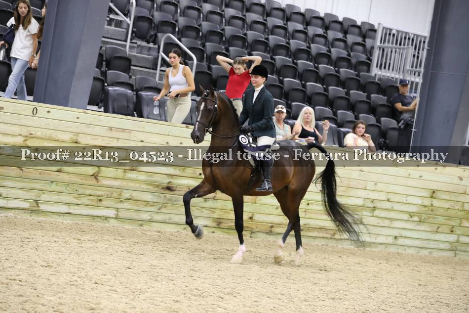 Proof 22R13_04523