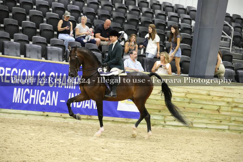 Proof 22R13_04524