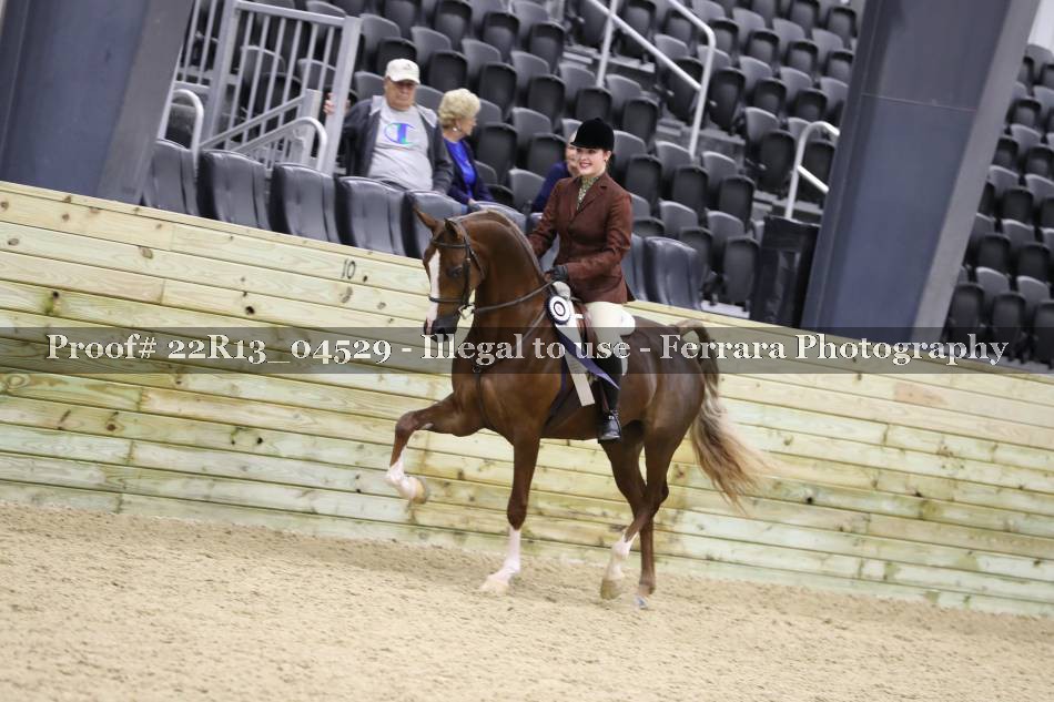 Proof 22R13_04529