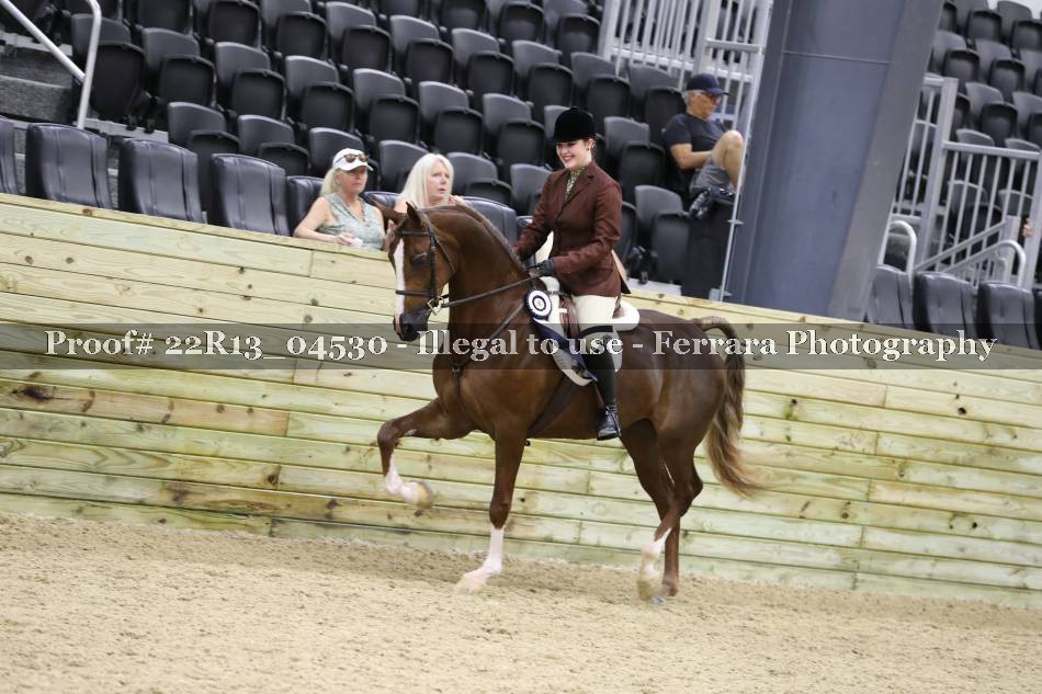 Proof 22R13_04530