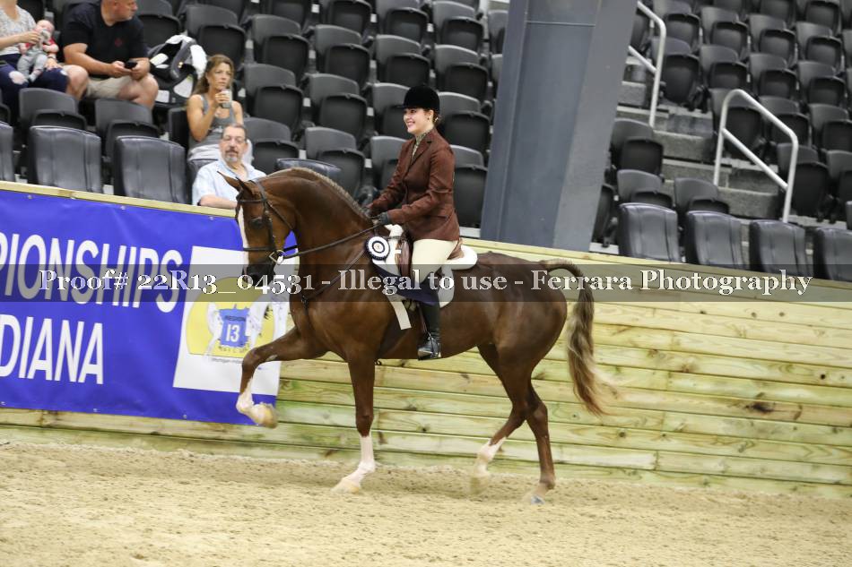 Proof 22R13_04531