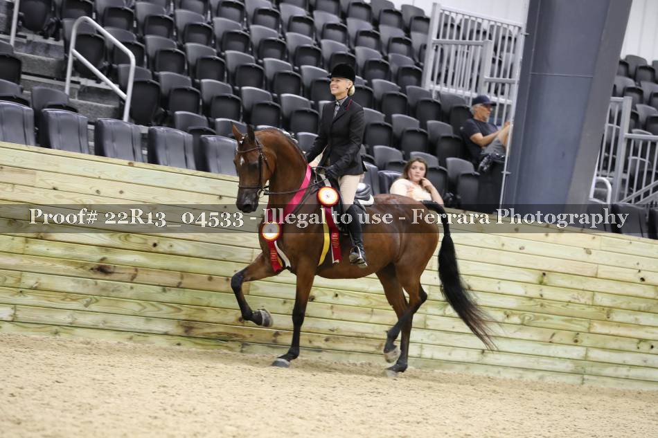 Proof 22R13_04533