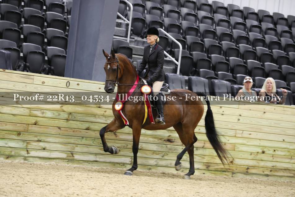 Proof 22R13_04534