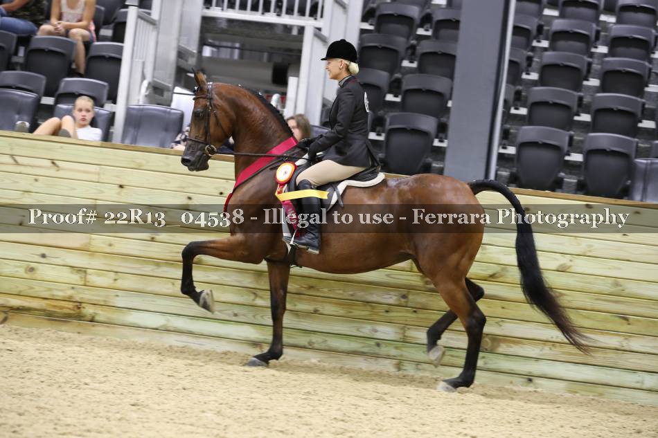 Proof 22R13_04538