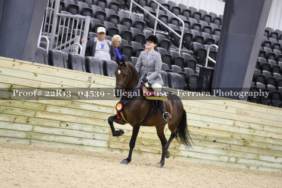 Proof 22R13_04539