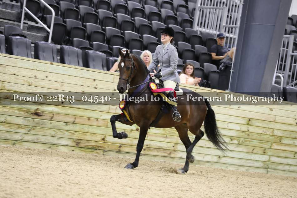 Proof 22R13_04540