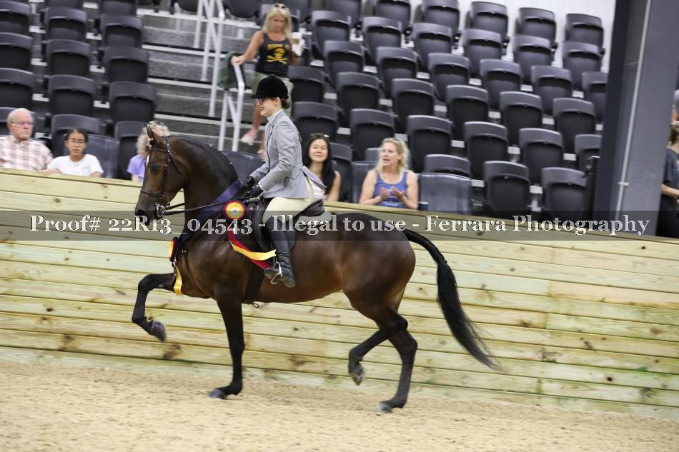 Proof 22R13_04543