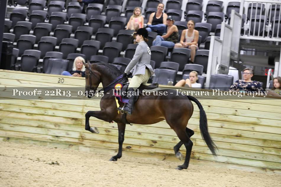 Proof 22R13_04545