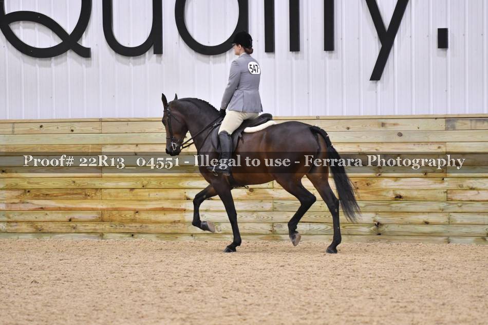 Proof 22R13_04551