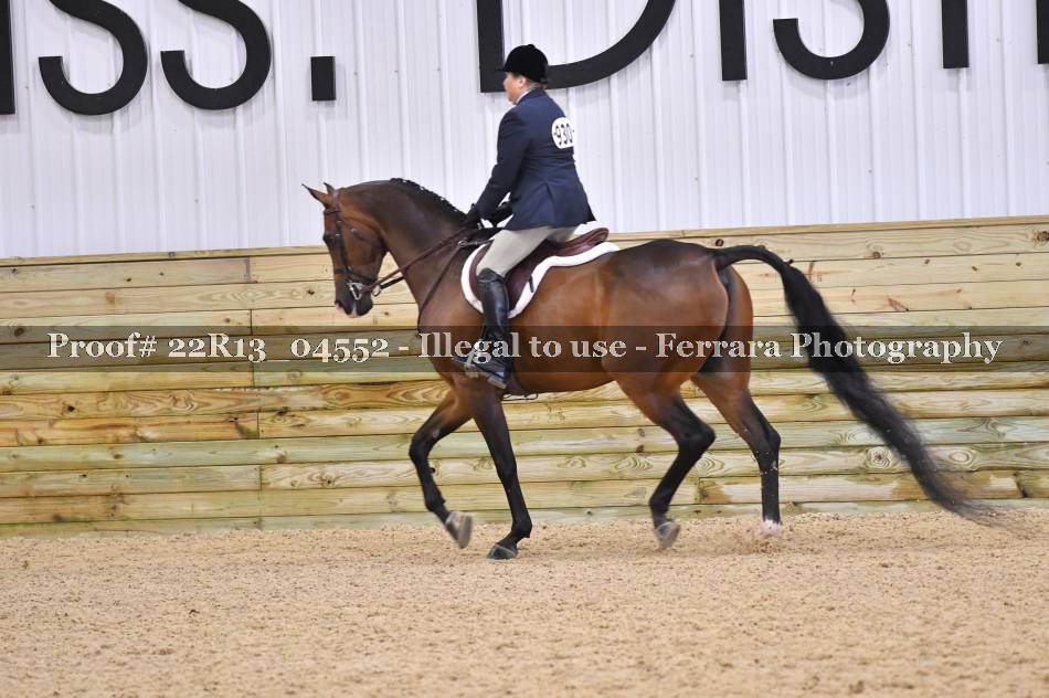 Proof 22R13_04552