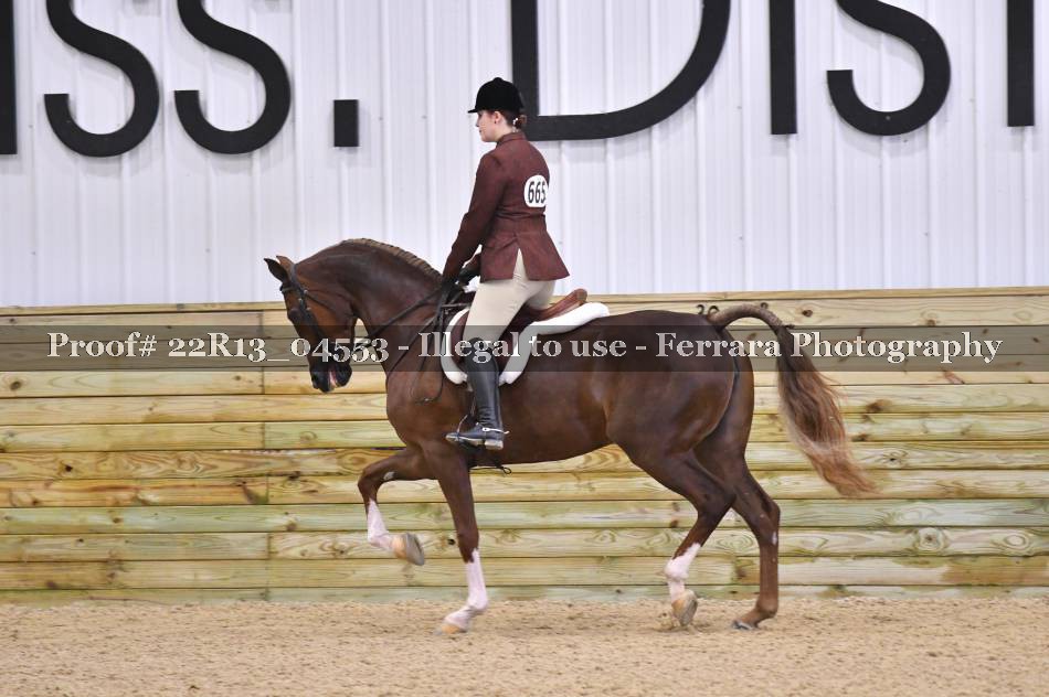 Proof 22R13_04553