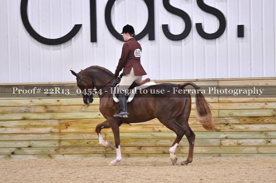 Proof 22R13_04554