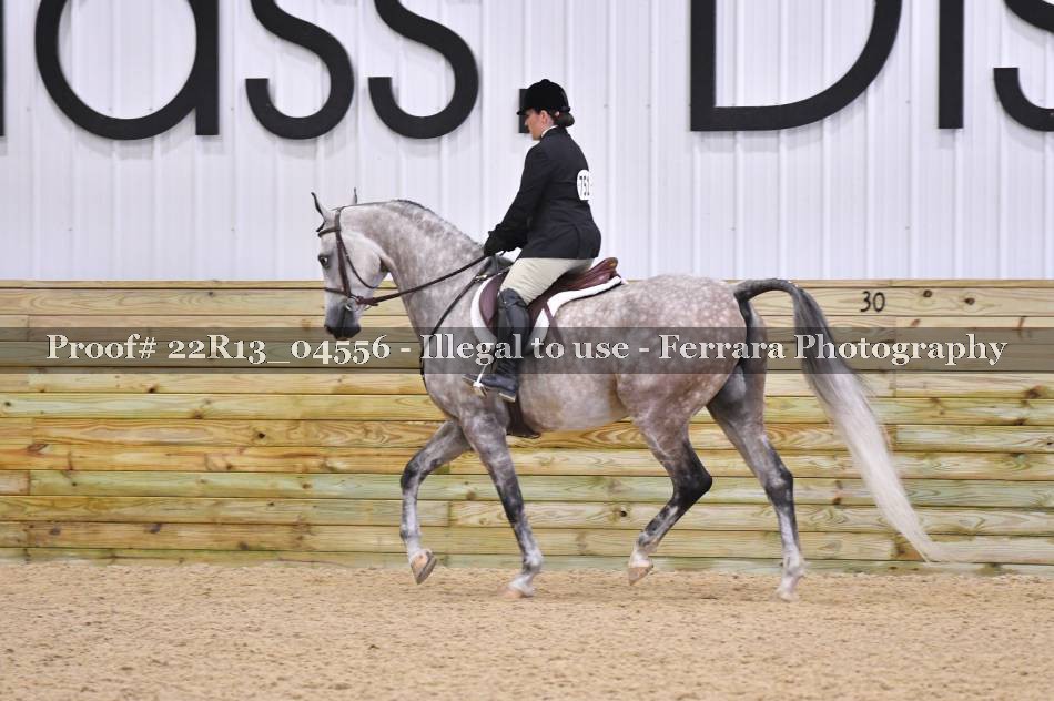 Proof 22R13_04556
