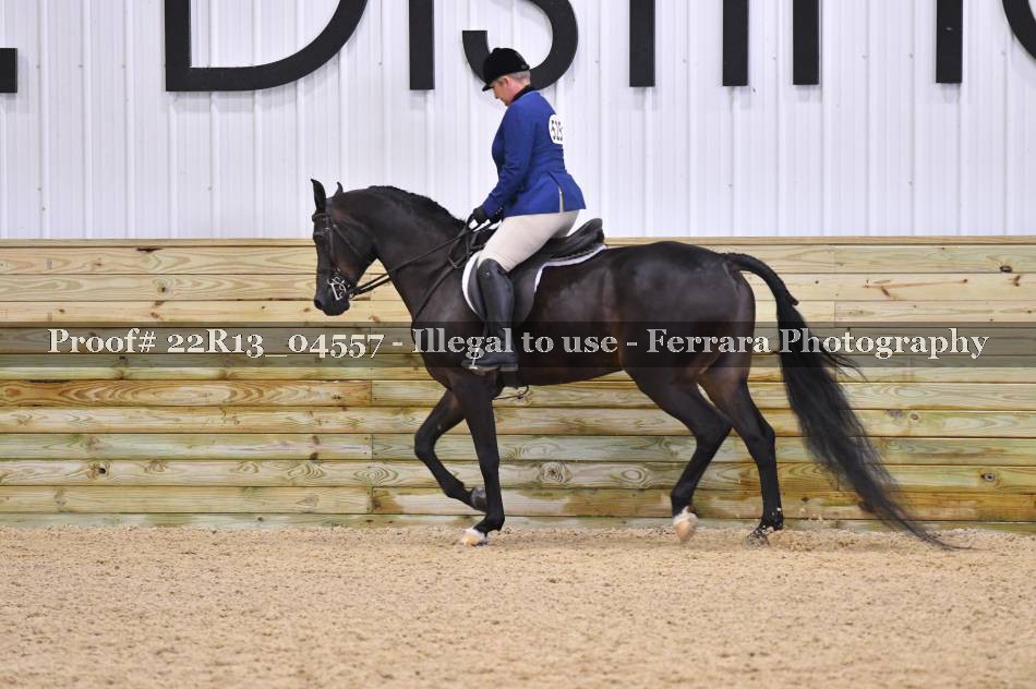 Proof 22R13_04557