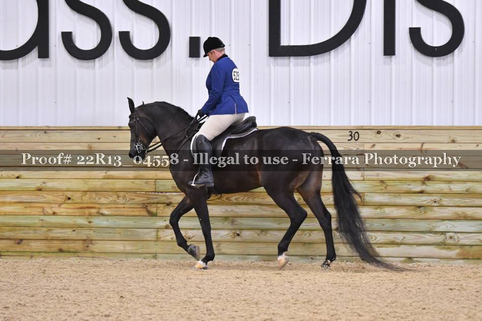 Proof 22R13_04558