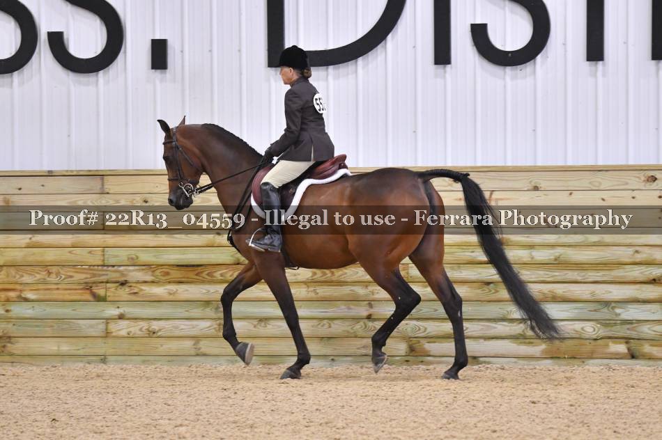 Proof 22R13_04559