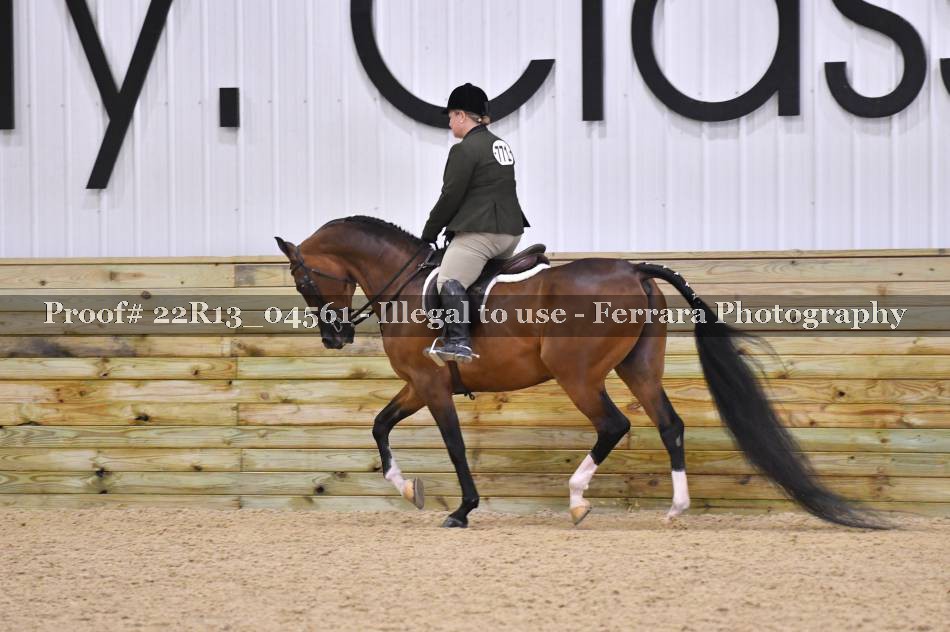 Proof 22R13_04561