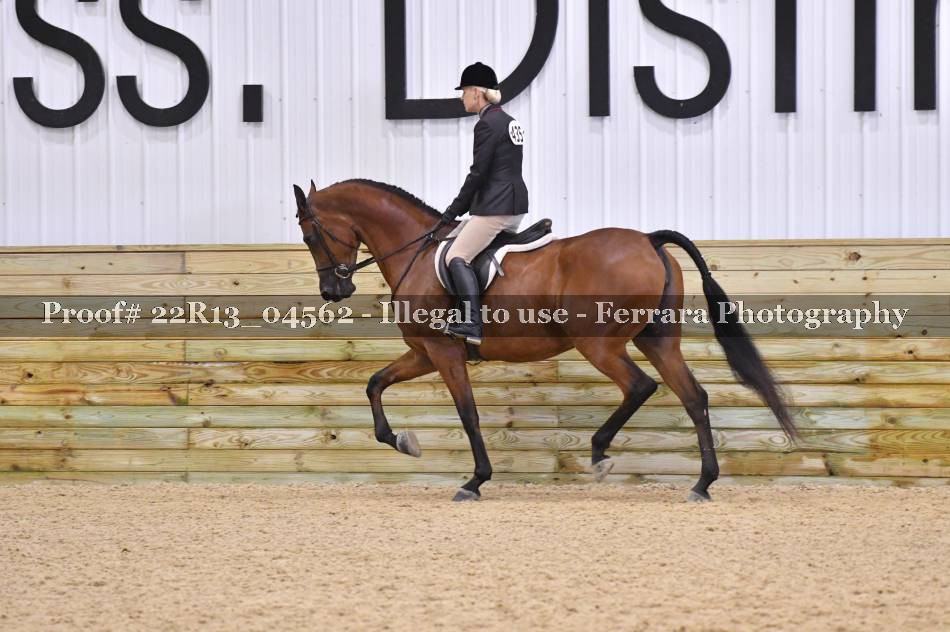 Proof 22R13_04562