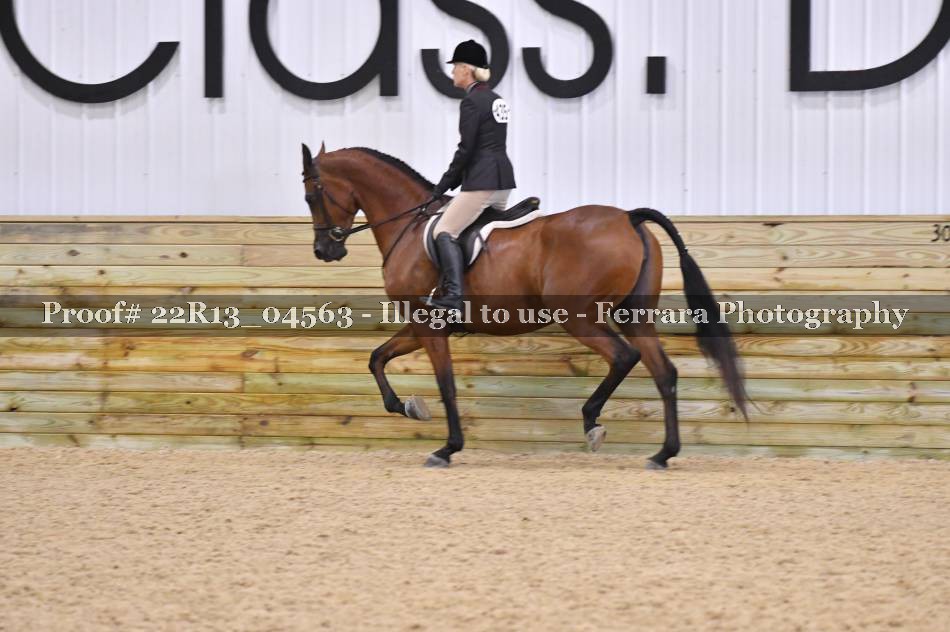 Proof 22R13_04563