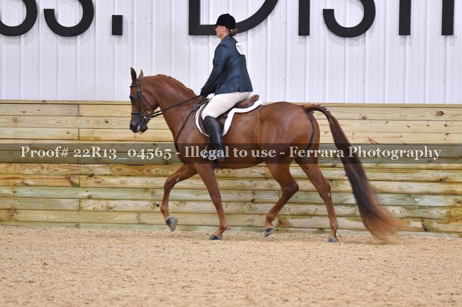 Proof 22R13_04565