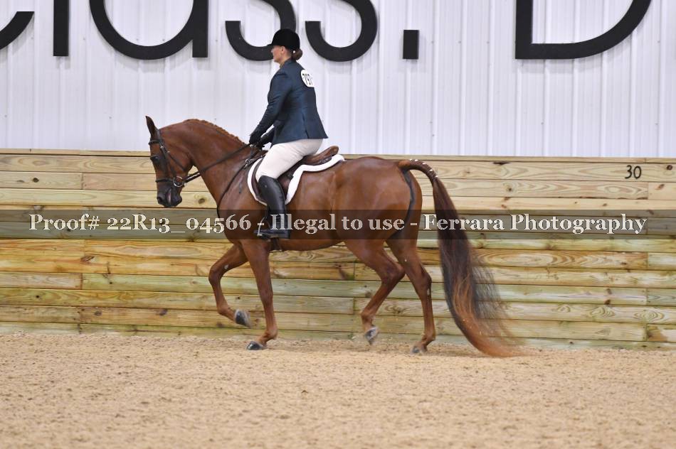 Proof 22R13_04566