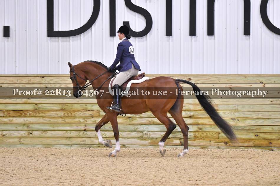 Proof 22R13_04567