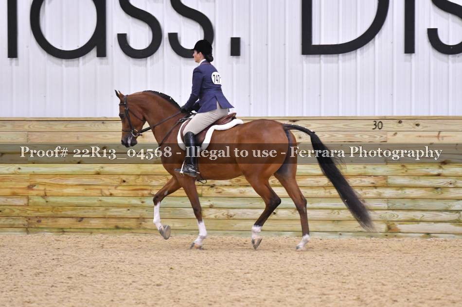 Proof 22R13_04568