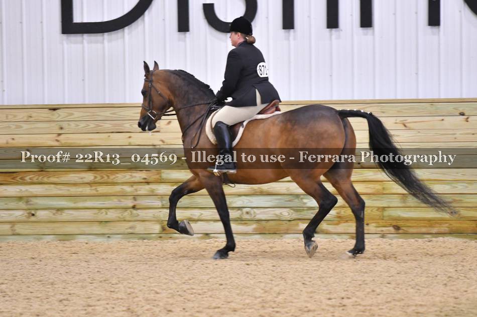 Proof 22R13_04569