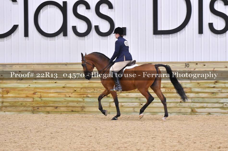 Proof 22R13_04570