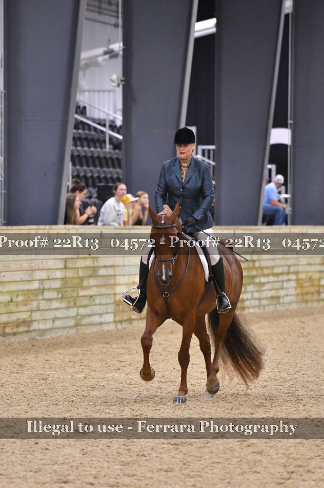 Proof 22R13_04572
