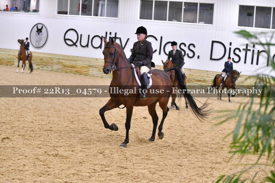 Proof 22R13_04579