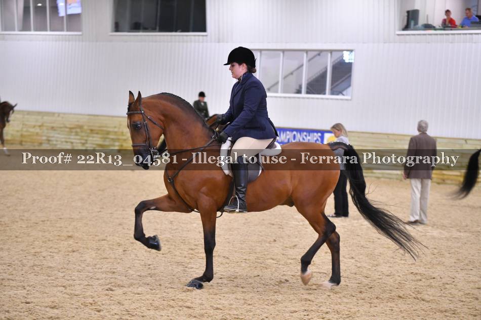 Proof 22R13_04581