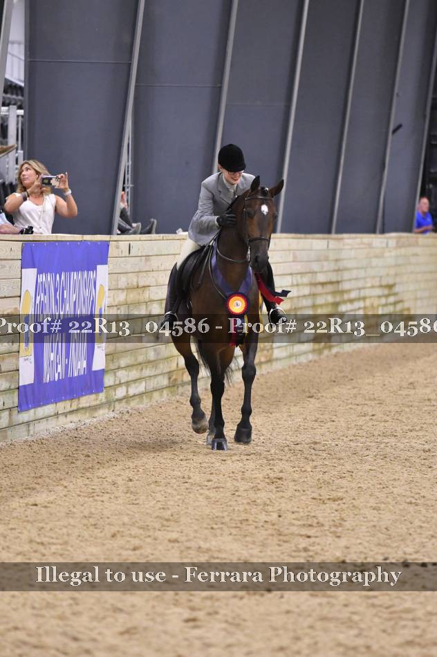 Proof 22R13_04586