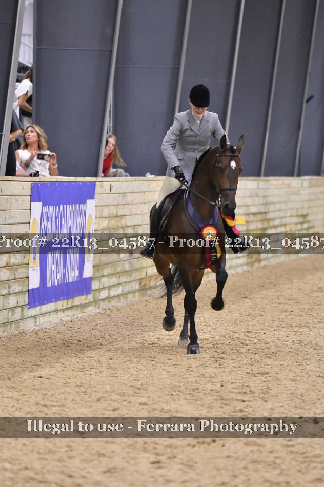 Proof 22R13_04587