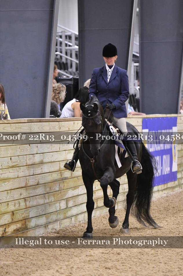 Proof 22R13_04589