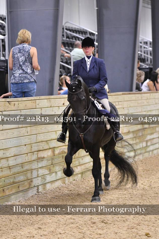 Proof 22R13_04591