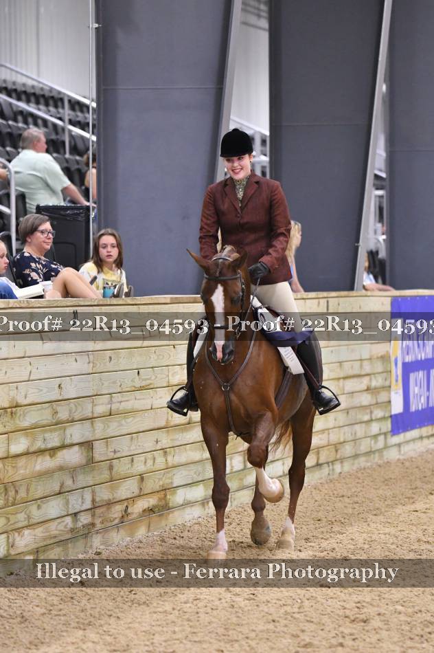 Proof 22R13_04593