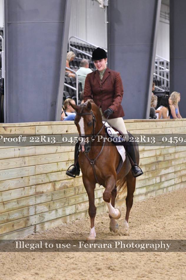 Proof 22R13_04594