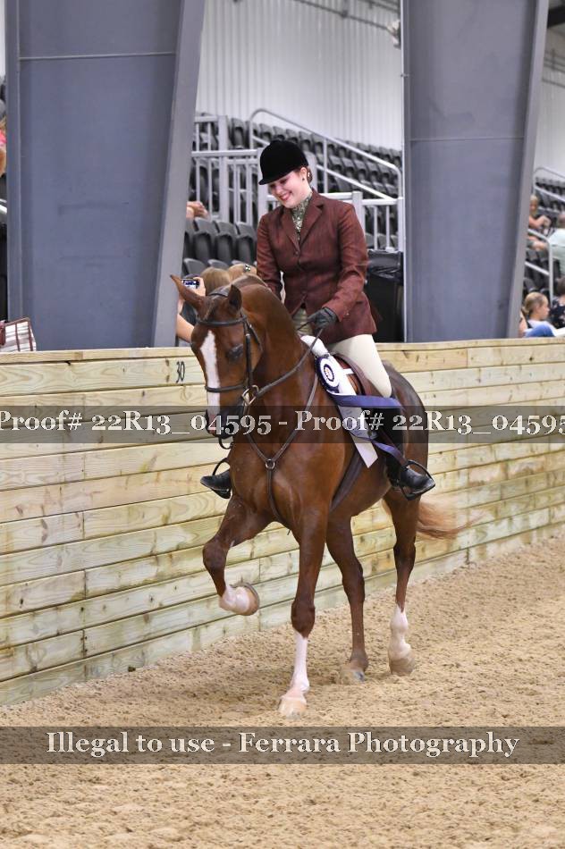 Proof 22R13_04595