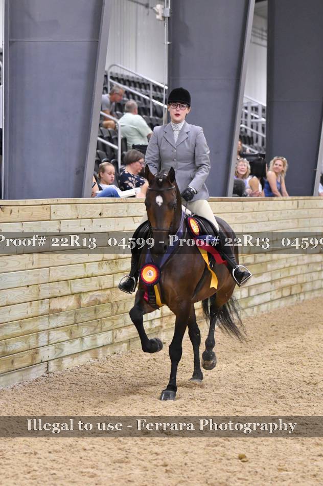 Proof 22R13_04599