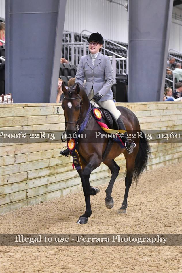 Proof 22R13_04601