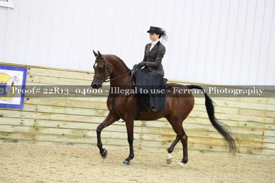 Proof 22R13_04606