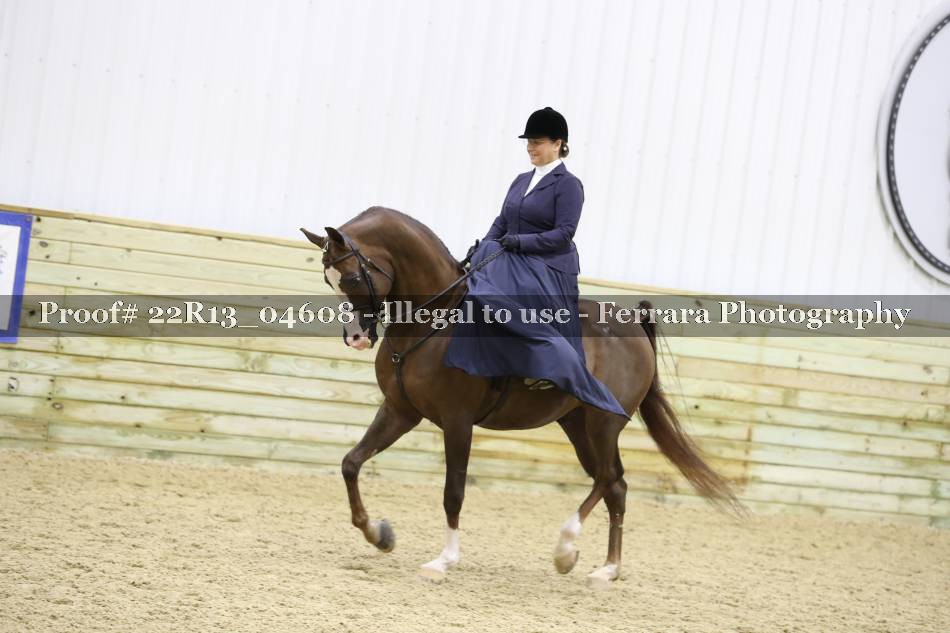 Proof 22R13_04608