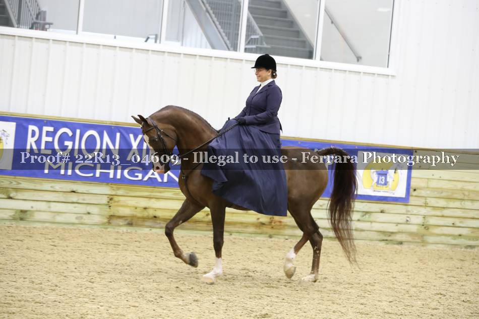 Proof 22R13_04609