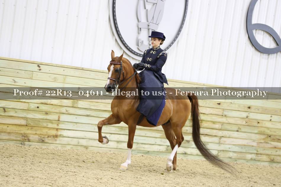 Proof 22R13_04611