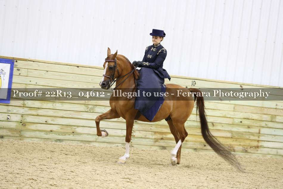 Proof 22R13_04612